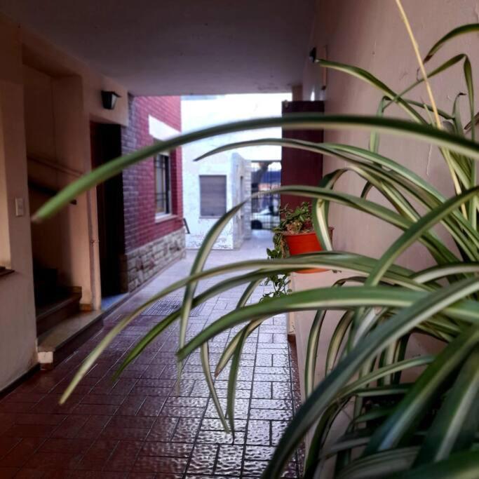 ¨Las Mayolicas¨ Hermoso Depto Con Patio Espanol Мендоса Экстерьер фото