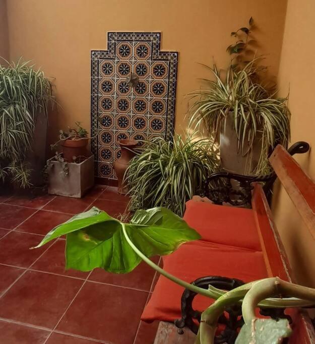 ¨Las Mayolicas¨ Hermoso Depto Con Patio Espanol Мендоса Экстерьер фото